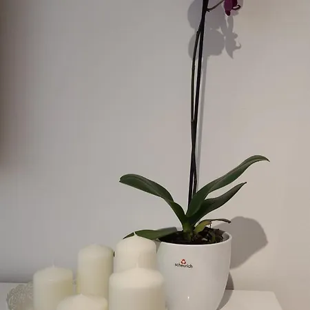 Luksuzni Stan U Starom Gradu Apartment *