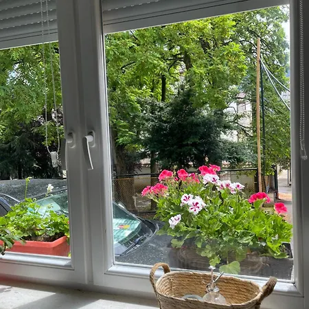 Luksuzni Stan U Starom Gradu,parking Apartmán *